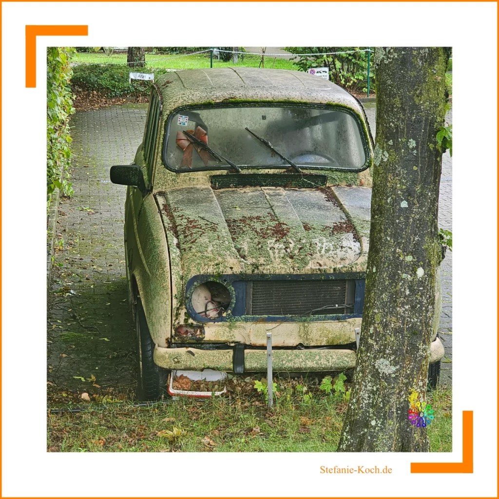 Fun Facts - ein alter R 4 unter einem Baum. Komplett mit Moos bedeckt.