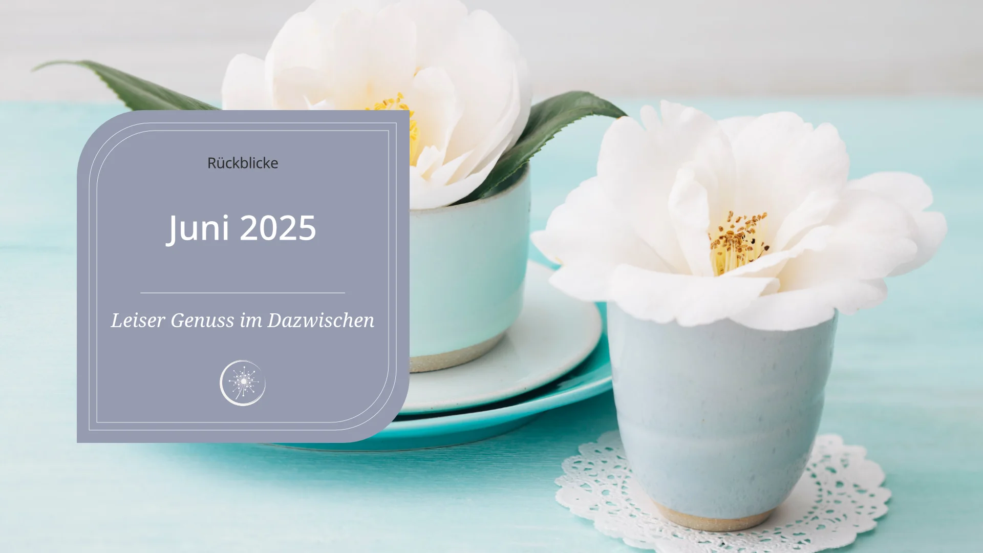 Juni 2025 - ein Becher und eine Tasse stehen auf einem Tisch. In beiden ist eine weiße Wildrosenblüte