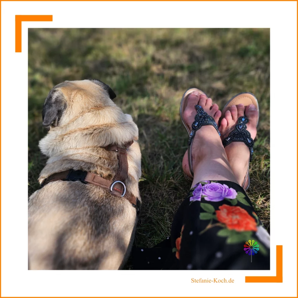 Füße und ein Mops in entspannter Position auf einer Wiese