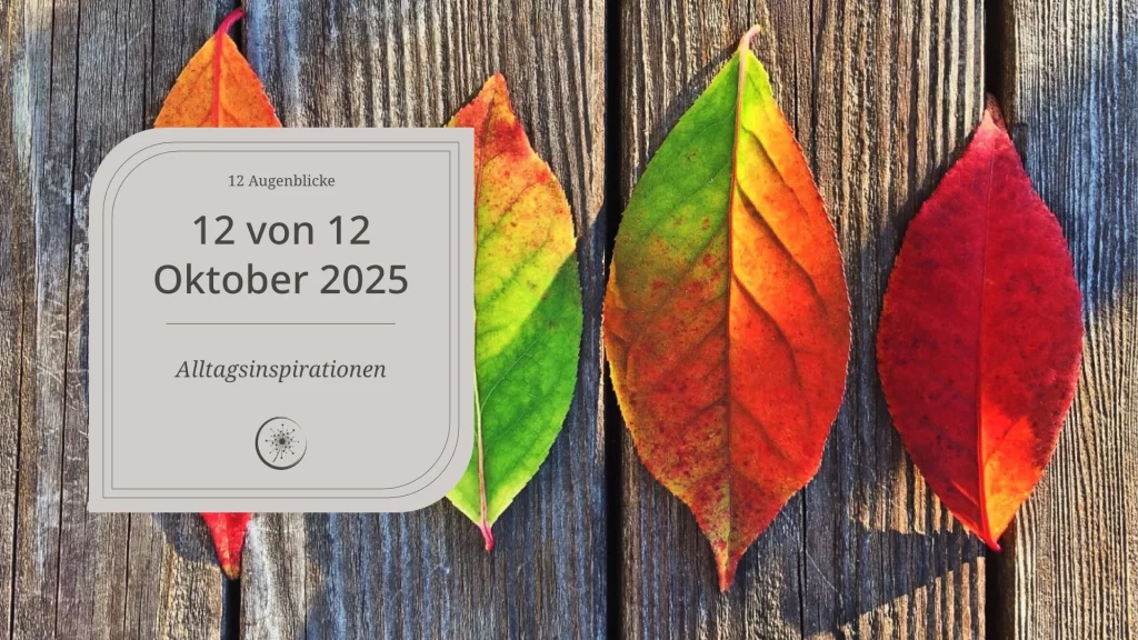 12 von 12 im Oktober 2025