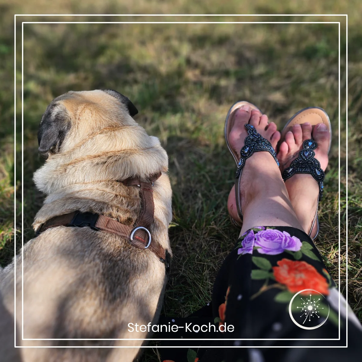 ein liegender Mops und Frauenfüße in Zehensandalen