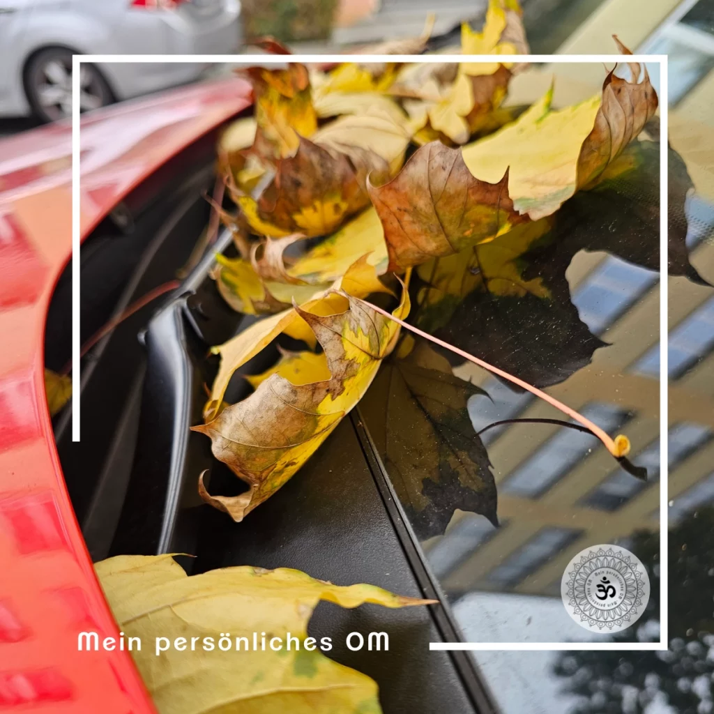 Herbstlaub liegt auf der Windschutzscheibe eines roten Autos.