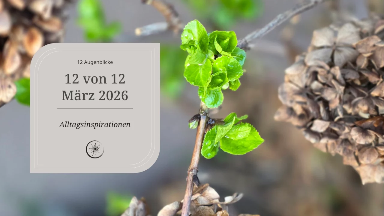 12 von 12 im März 2026