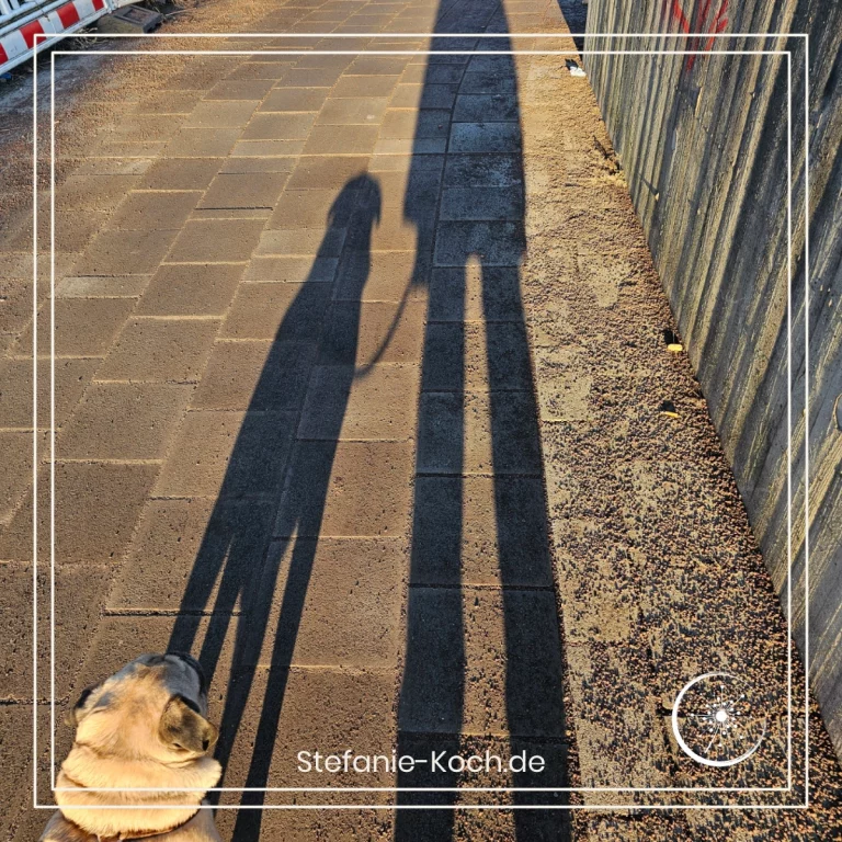 Schaten von einem Mops und einer Frau auf einem Gehweg