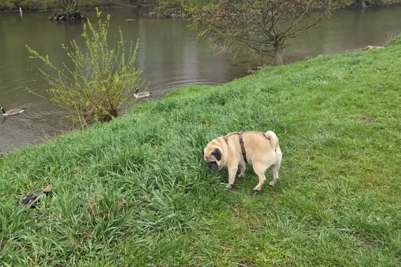 12 von 12 im April 2026